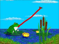Zap Fly.jpg